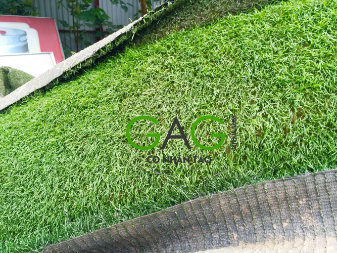 Thanh lý cỏ nhân tạo Đà Nẵng Thanh lý cỏ nhân tạo Đà Nẵng