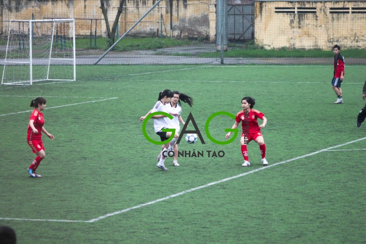 Dự án thi công sân bóng tại nhà thi đấu Hải Dương Dự án thi công sân bóng tại nhà thi đấu Hải Dương